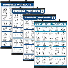 Palace Learning Плакат для тренировки с гантелями Том 1, 2 и 3 + таблица упражнений с весом тела - набор из 4 плакатов (ламинированные с пластиковой ра