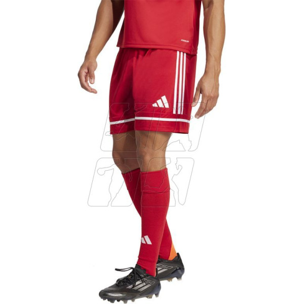 Футбольные шорты Squadra M 25 Short JN5466 / M