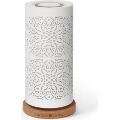 Earnest Living 100 мл безводный диффузор эфирных масел, система диффузии тумана, ароматерапевтический диффузор, металл, холодный туман, увлажнител