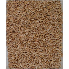 Naturhaus-Kaiser Ядра спельты грубые 5 кг