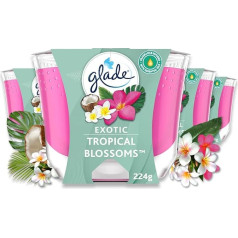 Glade (Бриз) Долгоиграющая ароматическая свеча в банке Романтическая ваниль
