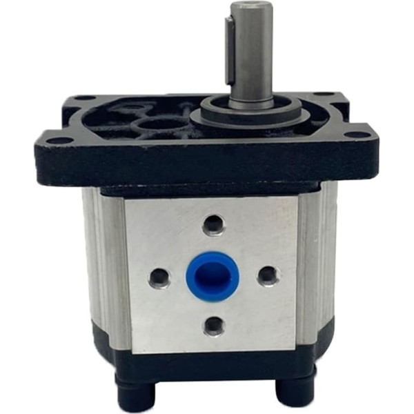 KIRANDY Gear Pump Гидравлический шестеренчатый насос CBN-G304/CBT-G306/G310/G312/G316/G318/G320/G325 (Размер : CBN-G304_Single Key)