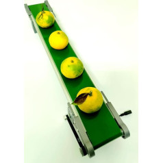 XNZJHPP Настольная конвейерная лента, 10 x 100 см, маленькая конвейерная дорожка, функции вперед, назад и пауза, скорость вращения: 116 об/мин