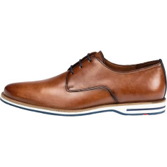 Мужские деловые туфли на шнуровке LLOYD Dakin