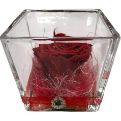 Genérico Вечная роза, красный, стеклянное ведро, вечно хранящаяся красная роза, хранящиеся красные розы, хранящийся цветок, романтический пода