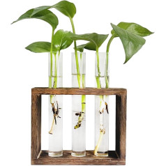 Pimaja Pipe Cultivation Station Wall Hanging Glass Vase Wooden Stand Rack Table Top Terrarium with 3 Test Tubes for Growing Hydroponic Plants, Home Office Decoration