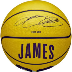 Мини-баскетбольный мяч NBA Player Icon LeBron James WZ4027701XB / 3