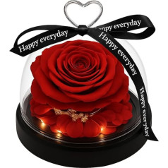 Ewige Rose, natürlich, konserviert, mit LED-Lichtern und Holzsockel, Glaskuppel mit dekorativem Herz, originelle Geschenke für Damen, Mutter, Freundin, Weihnachten, Valentinstag, Geburtstag, Muttertag