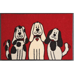 wash+dry 030805 Придверный коврик 50 x 75 см с мотивом 