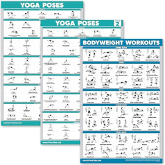 Palace Learning 3 Pack: Yoga Poses Volume 1 & 2+ Bodyweight Exercise Poster Set - Set of 3 Workout Charts (Laminated, 18