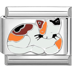 Quiges 9 мм итальянский стиль шарм модуль из нержавеющей стали кошка для итальянских браслетов, нержавеющая сталь, без драгоценных камней