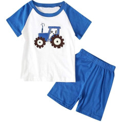 2025 Тоддлер Мальчики Одежда Лето Экипировка Набор Повседневная Детская Одежда (2-13 лет) Топы + Шорты Спортивный Простой Одежда Наборы Для Дев