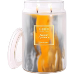 HZ-WONMIO Ароматическая свеча | Черная смородина и ваниль | 2 фитиля | 110 часов горения | Ароматерапия | Рождественская свеча | 20 унций