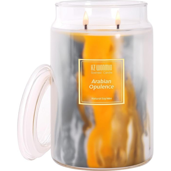 HZ-WONMIO Ароматическая свеча | Черная смородина и ваниль | 2 фитиля | 110 часов горения | Ароматерапия | Рождественская свеча | 20 унций