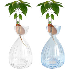 2 Pieces Avocado Seed Sprout Vase, Striped Style Avocado Glass Vases Стеклянные Вазы для Домашнего Стола Стол Крытый Декор (Clear+Blue)