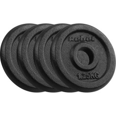 Набор чугунных гирь 4x1,25 кг, отверстие 31 мм, классическая пластина, ACTIVE