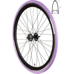 Redondo 28 Inch Rear Wheel Single Speed Fixie Wheel Rim Black Purple + Tyre