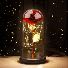 Joyhoop Красная вечная роза, прекрасная роза и чудовище, стеклянная роза с розовыми светодиодными лампами, идеи подарков для женщин, день рожд