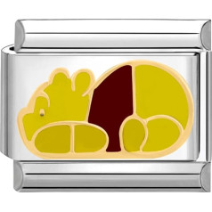 Quiges 9 мм итальянский стиль модуль нержавеющая сталь Винни для итальянский шарм браслеты