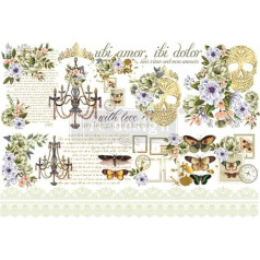 Redesign With Prima Decor Transfers Cece With Love, Skully 24 x 35 Inch Wall Decals DIY Wallpaper Wall Stickers Murals Decor for Kitchen Living Room Bedroom Bathroom Nightstands Table Décor