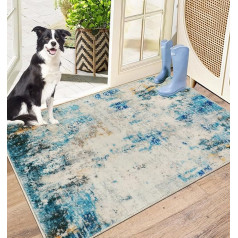 Capslpad Dirt Trapper Doormat 60x90cm Non Slip Doormat Indoor Machine Washable Modern Abstract Soft Interior Floor Mat for Entryway Front Back Door Muddy Wet
