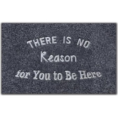xinbai Забавный Коврик Для Вас Нет Причины Быть Здесь Нескользящие Резиновые Дверные Коврики Крытый 40x60cm Вышивка Письмо Приветственный Коври