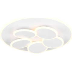 Trio Leuchten Mandala 653210631 Потолочный светодиодный светильник металл матовый белый с 35 Вт светодиодами, пультом ДУ, выключателем диммером, регулиро