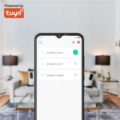 Розетка WiFi Connect P4 White Tuya
