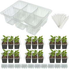 ILITING 50 Stück Saatgut-Starterschale, 300 transparente Zellschalen, verdickte Sämlingschalen mit Drainagelöchern, kombinierbar mit Feuchtigkeitskuppeln und mit transparentem hohem Deckel für