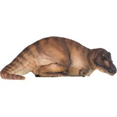 PNSO Серия Музеи динозавров: Andrea The Tyrannosaurus REX 1:35 Научная художественная модель