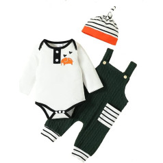 Тоддлер Мальчики Девочки Одежда Установить Ребенок Мультфильм С Длинным Рукавом Ромпер Боди Костюм Брюки Шляпа 3 Шт. Комплект Одежды Дети 