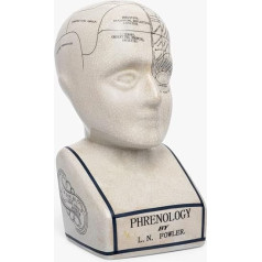 Френологическая голова ACL - Керамическое украшение - Коллекционный ретро бюст - Глазурная отделка - Привлекает внимание - Стол врача - LN Fowler - 