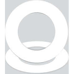 GASKET24 PTFE virginal seal EN 1514-1 IBC DN 250; PN 40 352 x 273 x 2 (упаковка из 10)