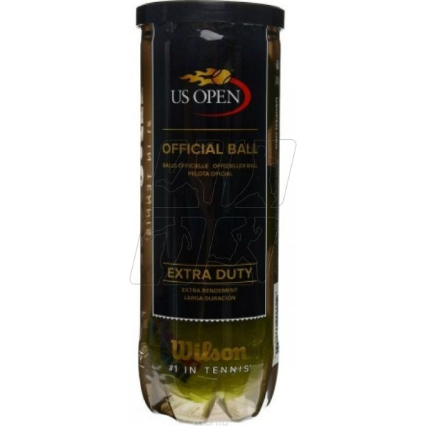 Теннисные мячи Us Open (3 шт.) / N/A
