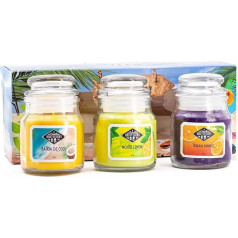 Набор ароматических свечей Candle-Brothers в стекле с крышкой, пляжный бар, 3 ароматические свечи в подарок, маленькие ароматические свечи (кокос, 