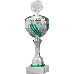 Серия трофеев eberin Ronja серебристо-зеленого цвета с желаемым текстом, индивидуальным мотивом эмблемы, доступна в 10 размерах или в серии из 10 ш