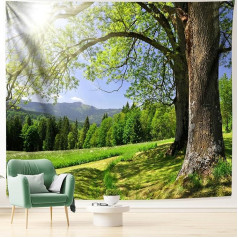 Гобелен Dsnyu 350 x 256 см, натуральный XXL Деревья Солнечный свет зеленый стены висит украшения пейзаж полиэстер моющиеся