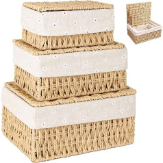 ZHYOPING Набор из 3 корзин для хранения с крышками - плетеные корзины из бумажных веревок, 3 размера корзин с подкладкой, корзины для хранения в с