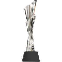 HLUONGTN Индивидуальные трофеи Металлические трофеи Смоляные трофеи Выдающиеся трофеи сотрудников Хрустальные трофеи/Сьер/8 x 8 x 30 см