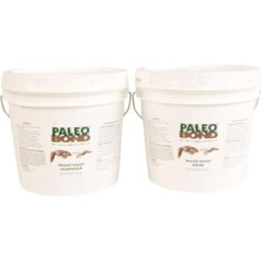 PB121 Набор PaleoSculp 20# натуральный серый коробка аксессуар минерал окаменелость камень исцеление кристалл окаменелости