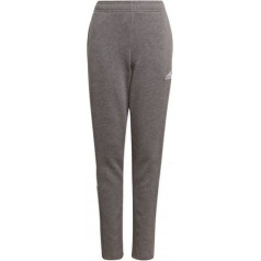Брюки adidas Tiro 21 Sweat Jr GP8809 / 128см